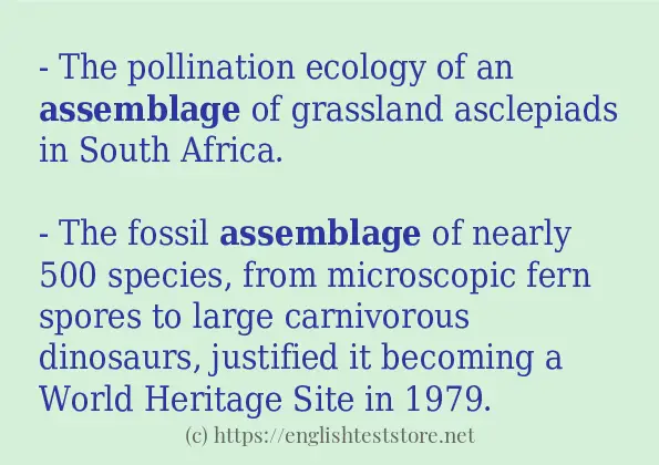 assemblage use in sentences assemblage use in sentences