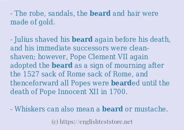 beard-sentence-examples-englishteststore-blog