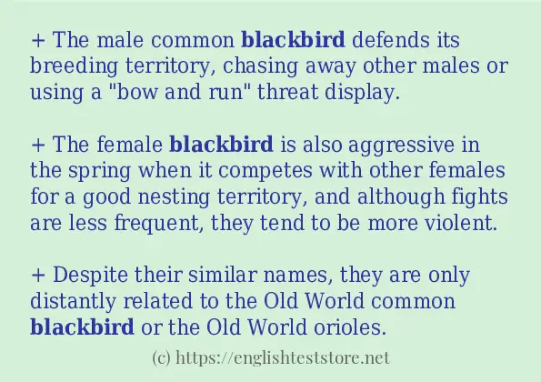 blackbird - sentence examples