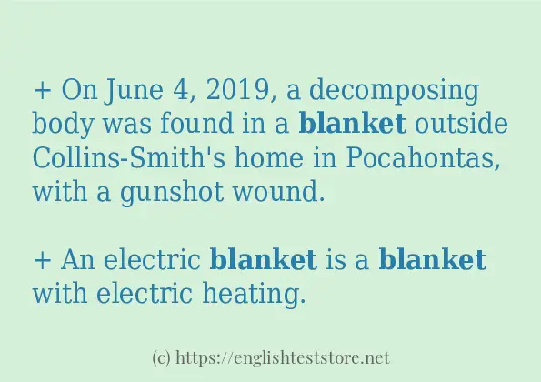 blanket example in sentences