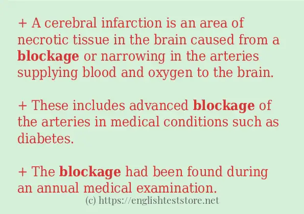 blockage - sentence examples