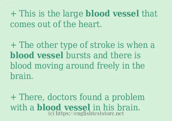 blood vessel in-sentences