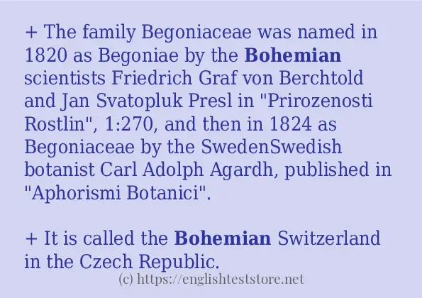 bohemian some example sentences