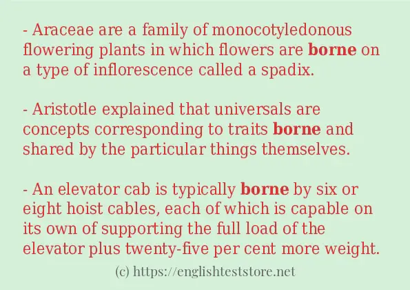 borne - example sentences