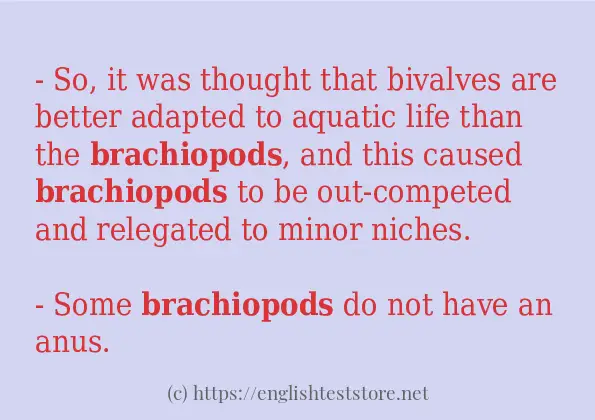 brachiopods some example sentences