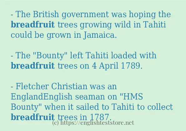 breadfruit use in-sentences