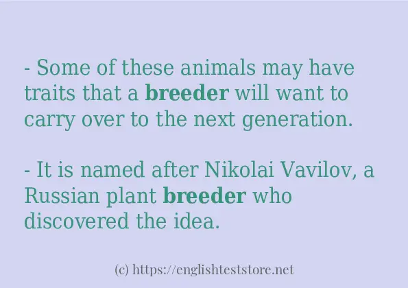  breeder In Sentences EnglishTestStore Blog