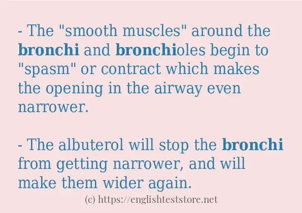 bronchi use in-sentences