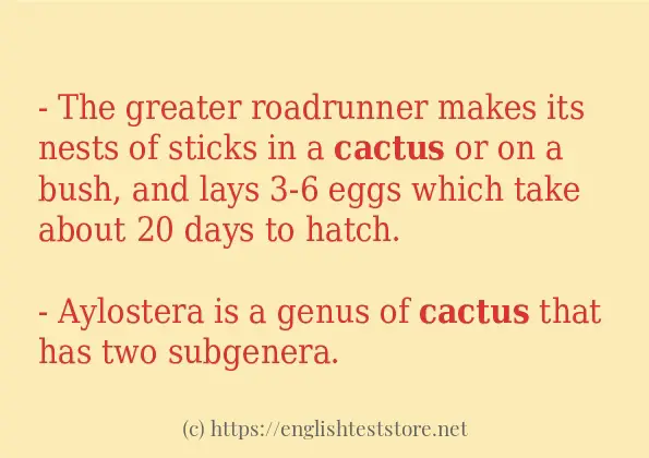 cactus use in sentences