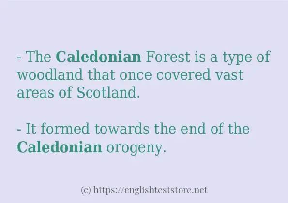 caledonian use in-sentences