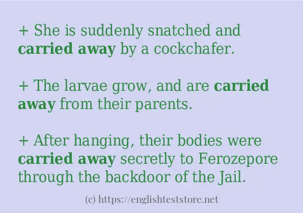 carried away - some sentence examples