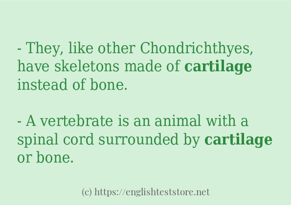 cartilage in sentences?