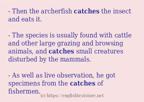 catches - example sentences