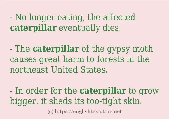 caterpillar - sentence examples