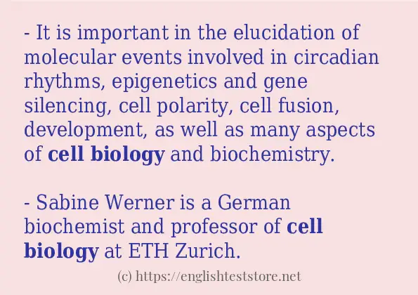 cell-biology-sentence-examples-englishteststore-blog