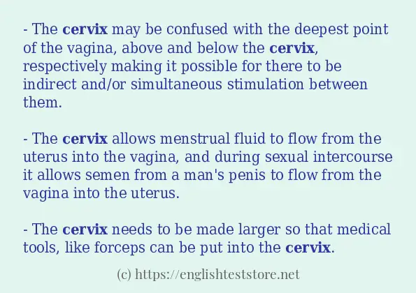 cervix how to use?