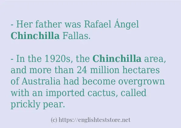 chinchilla - example sentences