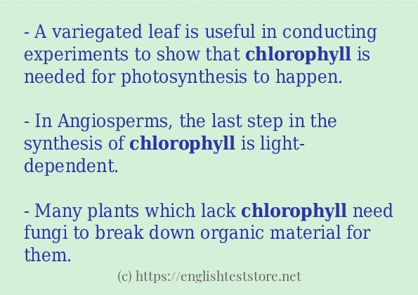 chlorophyll in-sentences