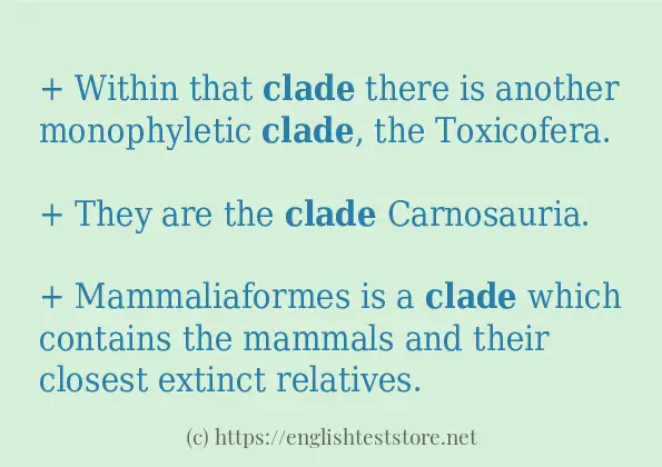 clade in sentences?