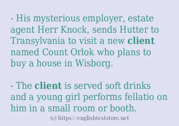 client example in sentences