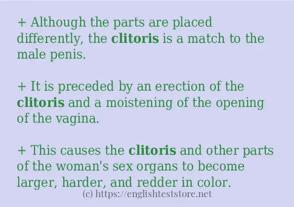 clitoris - example sentences