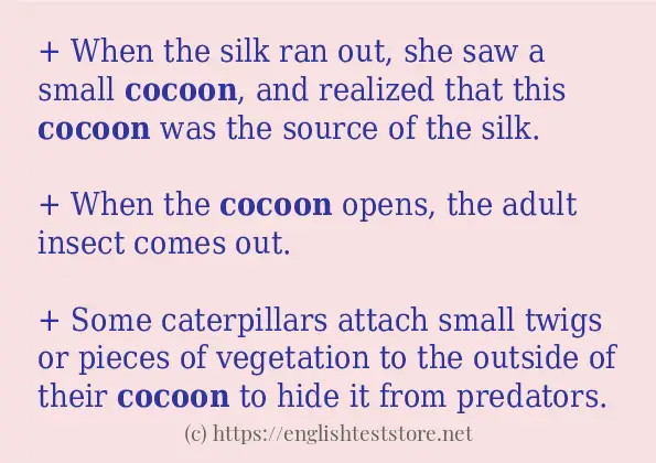 cocoon some example sentences