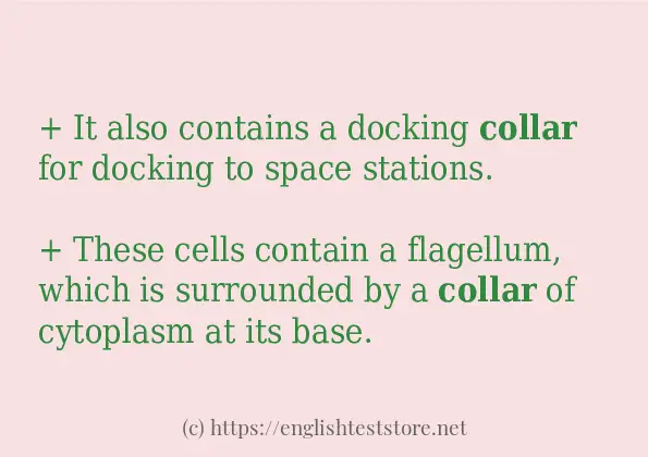 collar in sentences?