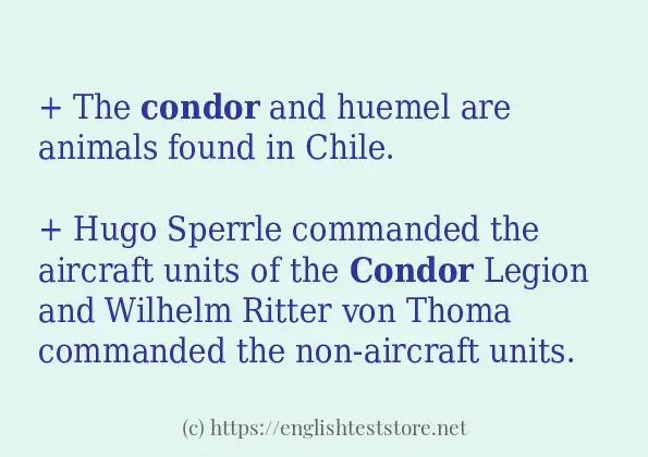condor use in sentences