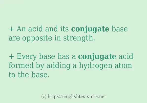 conjugate how to use in sentences