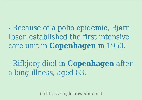 copenhagen - sentence examples