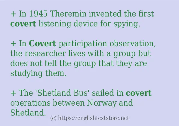 covert - some sentence examples