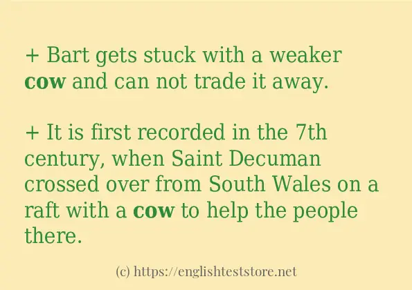 cow use in sentences