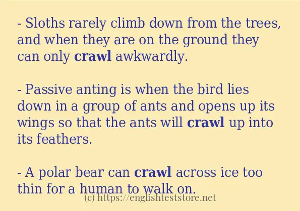 crawl-use-in-sentences-englishteststore-blog