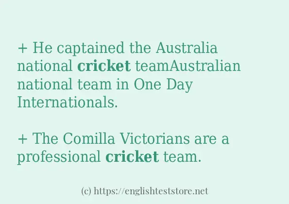 cricket how to use?