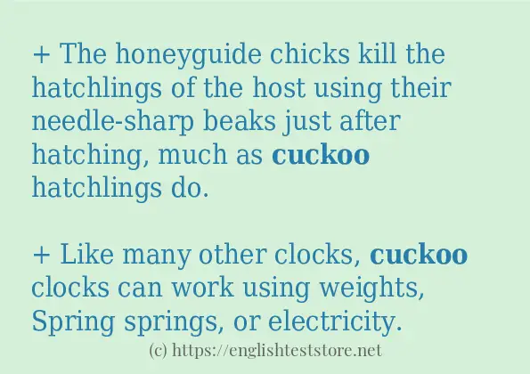 cuckoo in-sentences