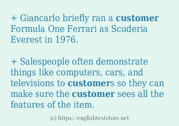 customer - sentence examples