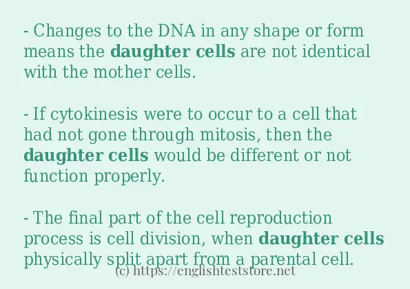 daughter cells example in sentences