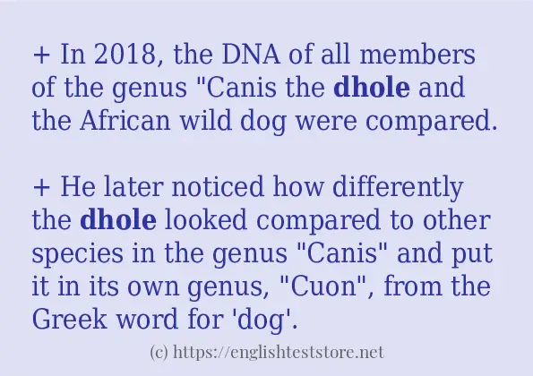 dhole how to use?