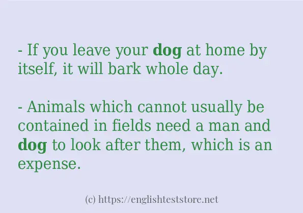 dog use in sentences