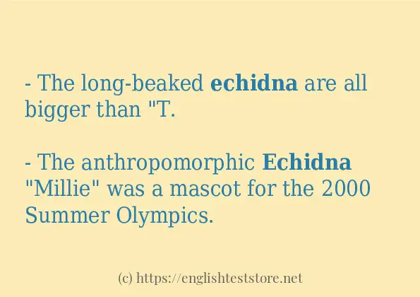 echidna - example sentences