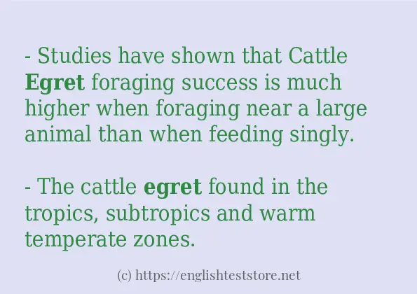 egret how to use in sentences