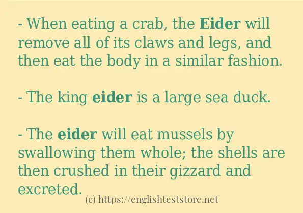 eider use in-sentences