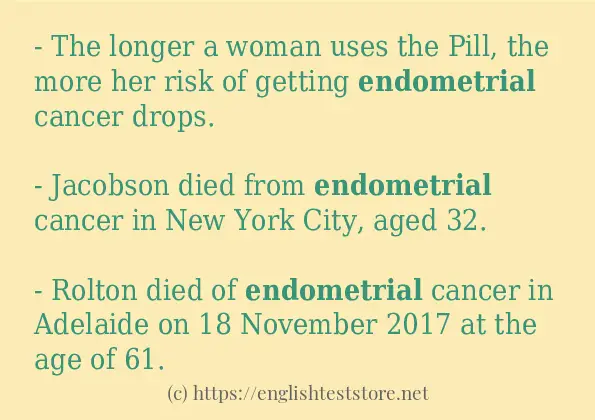 endometrial how to use in sentences