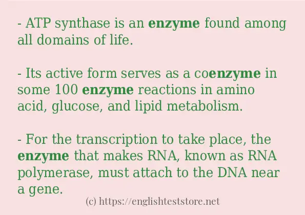 enzyme use in-sentences