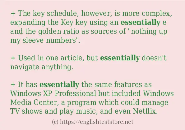 essentially - example sentences