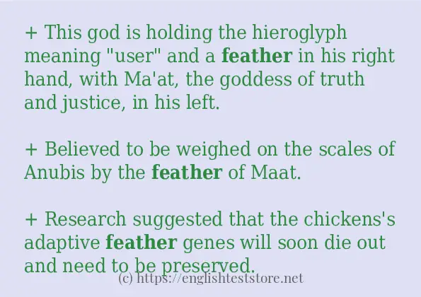 feather - example sentences