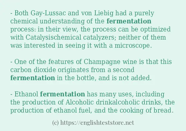 fermentation how to use in sentences