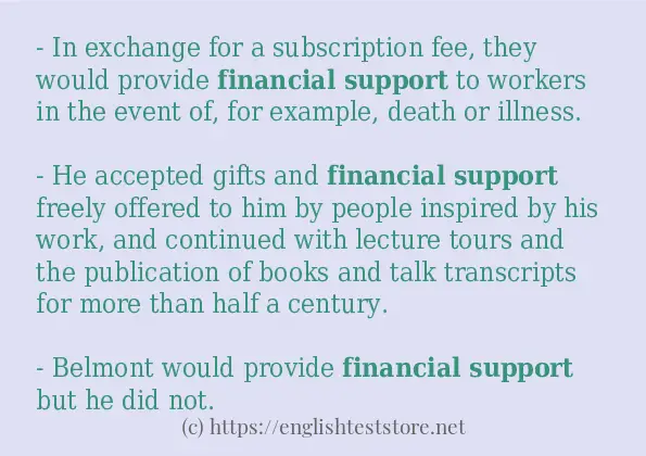 financial support use in sentences