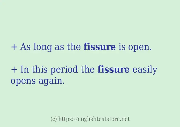 fissure how to use in sentences