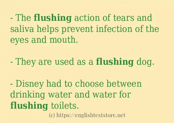 flushing - example sentences